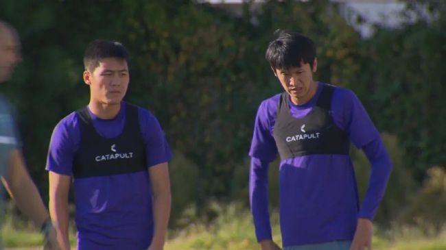 拍拍拍成人免费高清视频