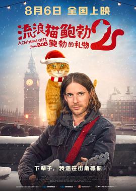 樱花小猫的视频大全