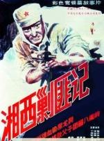 真假试探
