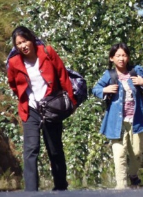 国产在线播放一区二区