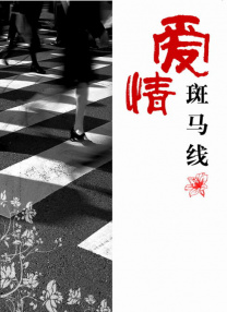 美女100%无挡
