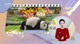 中文字幕免费在线